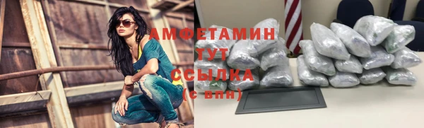 стаф Белокуриха